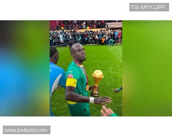 足球明星荣耀时刻捧奖杯精彩瞬间图片合集欣赏