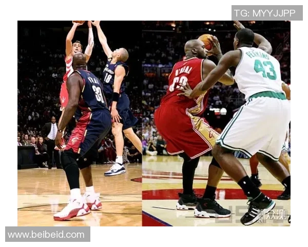 篮球明星鲨的传奇人生与赛场背后的奋斗故事揭秘